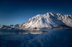 每日大赛51复盘—人员变动怎么来的？最新动向更能说服人给你讲透，只有这一次